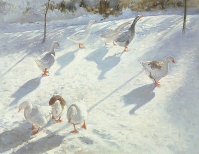 Ve dvou směrech od Timothy Easton
