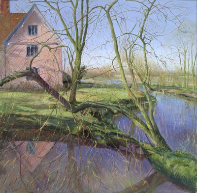 Klíčící vrba od Timothy Easton