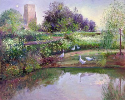 Odrazy západu slunce od Timothy Easton
