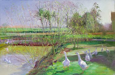 Vrba a husy od Timothy Easton