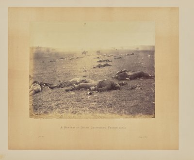 Sklizeň smrti, Gettysburg, Pensylvánie od Timothy H. OSullivan