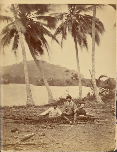 [Členové posádky Selfridgeovy expedice na Dariénský průliv (Panama)] od Timothy H. OSullivan