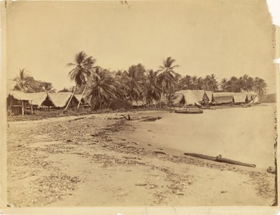[Chaty, palmy a pláž, Itshumus v Dariénu (Panama)] od Timothy H. O