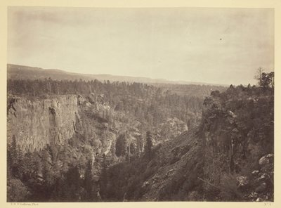 North Fork Cañon, Sierra Blanca Creek, Arizona od Timothy O