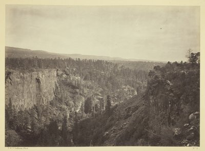 North Fork Cañon, Sierra Blanca Creek, Arizona od Timothy O