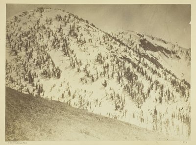 Snow Peaks, důlní revír Bull Run, Nevada od Timothy O