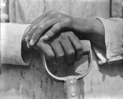 Ruce stavebního dělníka, Mexiko, 1926 od Tina Modotti