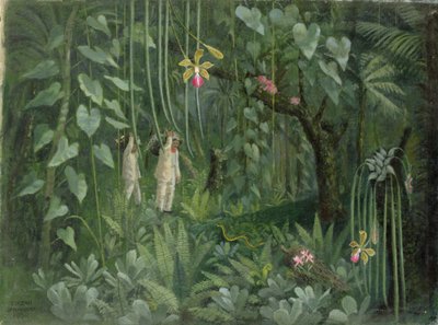 Lovci orchidejí z Brazílie od Tirzah Ravilious