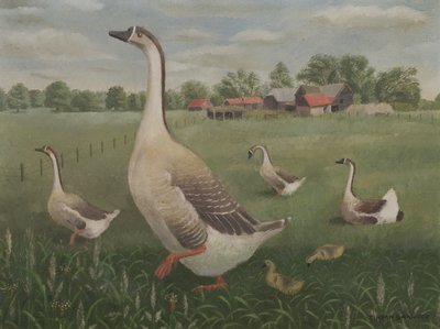 Chřadne budeš bloudit? od Tirzah Ravilious