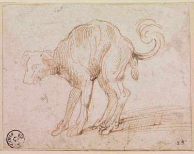 Detail eines Hundes, der das Rote Meer überquert von Titian (c.1488-1576)