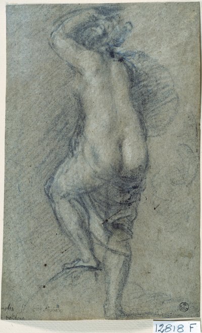 Akt ženy (křída na papíře) od Titian (c.1488-1576)