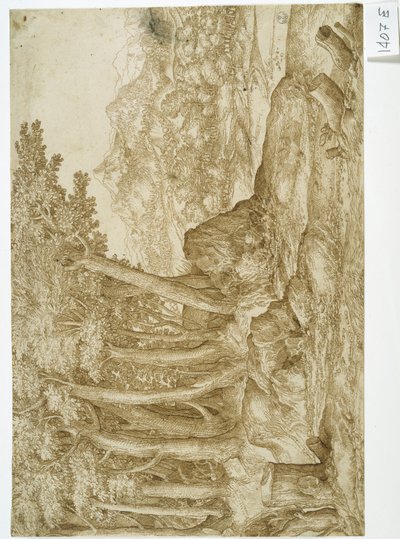 Landschaft von Titian (c.1488-1576)