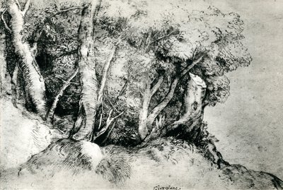 Lesní krajina, c1516-1518, 1937 od Tiziano Vecelli