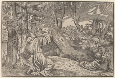 Svatý František přijímá stigmata od Titian