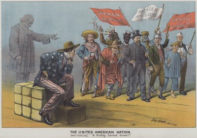 Sjednocený americký národ, satira na rozmanitost přistěhovalců v americké společnosti 19. století (barevná litografie) od Tom Merry