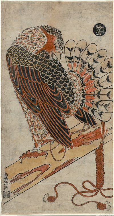 krahujec (Konori Taka) od Torii Kiyomasu I