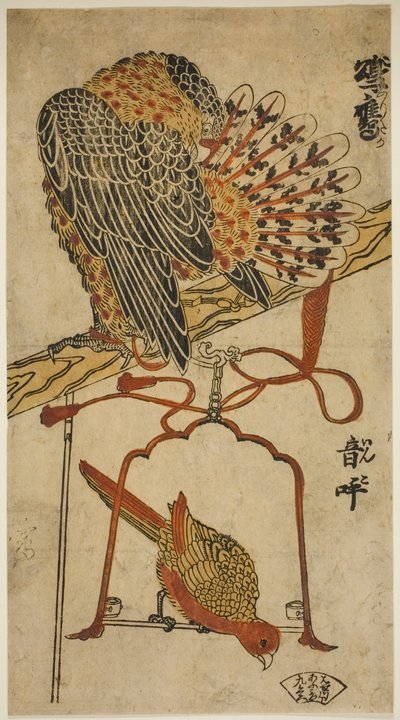 Krahujec a ara (Krahujec a ara) od Torii Kiyomasu I