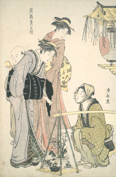 Nákup hrnkových rostlin: Brocades of the East od Torii Kiyonaga