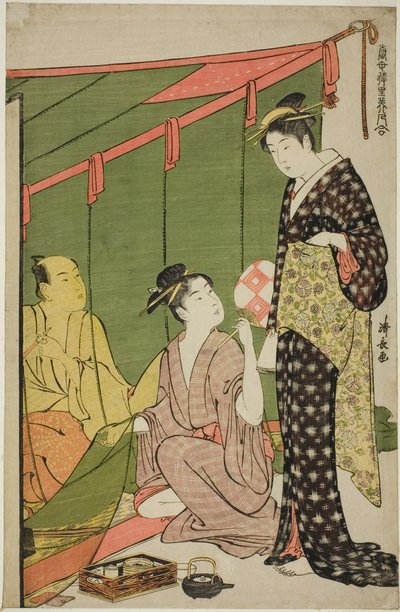 Síť proti komárům, ze série „Sbírka současných krás požitkářských čtvrtí (Tosei yuri bijin awase)“ od Torii Kiyonaga