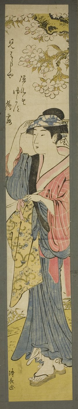 žena prohlížení třešňových květů od Torii Kiyonaga