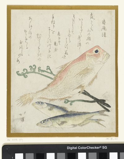 Tři ryby a kapradí od Totoya Hokkei