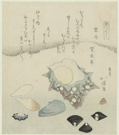 Fialová ulita, sladkovodní škeble a turban ulita Murasakigai shijimi sazae (název na objektu) Série mušlí (název série) Kaitsukushi (název série na objektu) od Totoya Hokkei