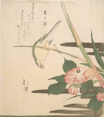 Pěnice a kamélie, ca. 1815-20. od Totoya Hokkei