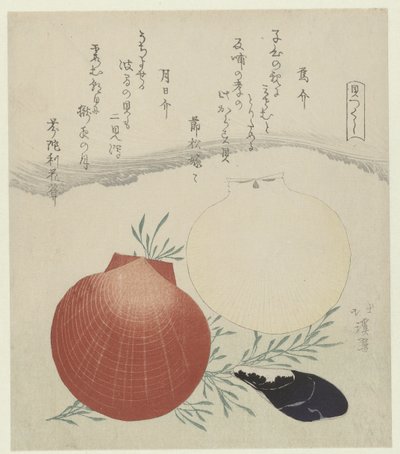 Sladkovodní mušle a japonská lastura mušle slunce a měsíce Karasugai tsukihigai (název na objektu) Série mušlí (název série) Kaitsukushi (název série na objektu) od Totoya Hokkei