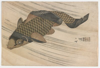 Carp Swimming Upstream, období Edo, polovina 20. let 19. století (barevný dřevotisk) od Toyota Hokkei