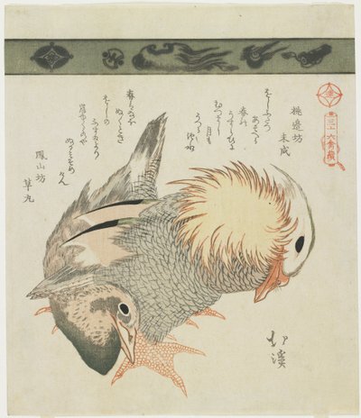 Mandarin Duck and Drake, c. 1830 od Toyota Hokkei