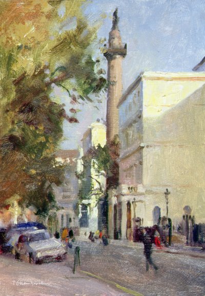 Carlton House Terrace (olej na plátně) od Trevor Chamberlain