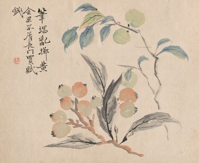 Mišpule z Japonska od Tsubaki Chinzan