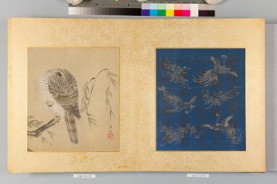 Album jestřábů a kaligrafie od Tsunenobu Kano