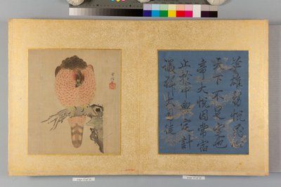 Album jestřábů a kaligrafie od Tsunenobu Kano