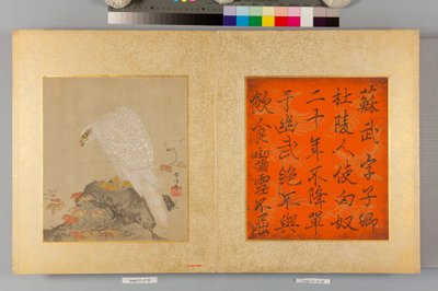 Album jestřábů a kaligrafie od Tsunenobu Kano