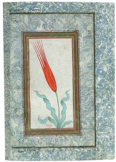 Stránka z alba Turkish Tulip, Istanbul, 1725 od Turkish School