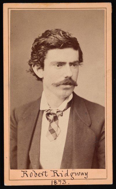 Portrét Roberta Ridgwaye 1850-1929, duben 1873. od Ulke Bros