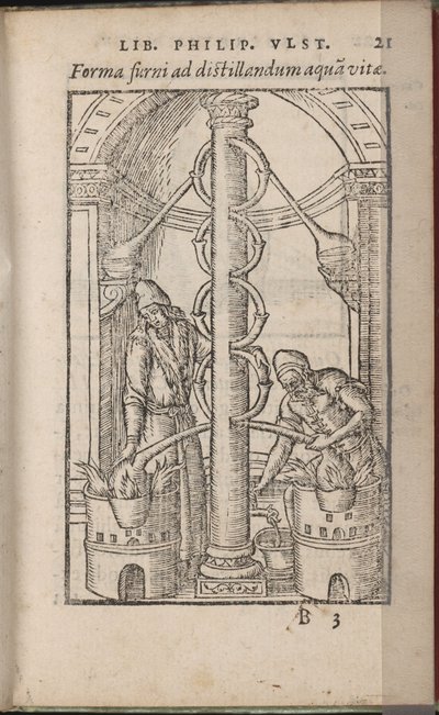 Alchymistický aparát Z: Kniha tajemství přírody, 1556-1557 od Ulstadius