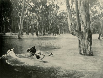 Bankéř, 1901. od Unbekannt