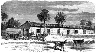 Búrská farma, Jižní Afrika, c1890 od Unbekannt