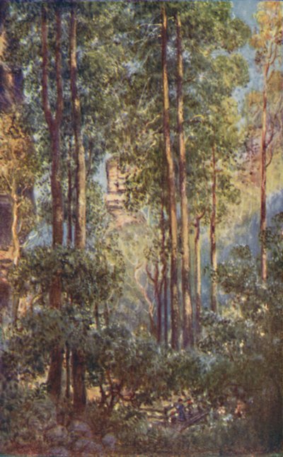 Bush Valley v Novém Jižním Walesu, 1923. od Unbekannt