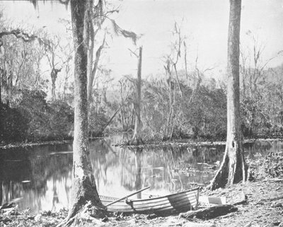 Feeder of the St. Johns River, Florida, USA, c1900. od Unbekannt
