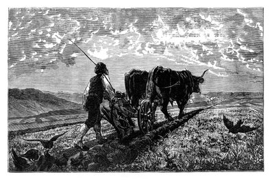 Francouzský zemědělec, c1890 od Unbekannt