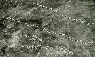 Útok pěchoty přes zemi No Mans, 1919. od Unbekannt