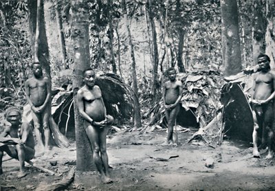 Pygmejská vesnice, povodí severovýchodního Konga, 1912 od Unbekannt