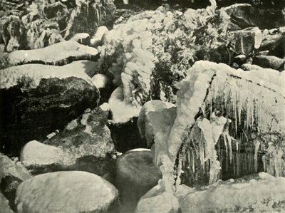 Zimní scéna v Nové Anglii, 1901. od Unbekannt