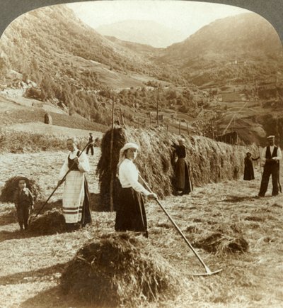 Farmářská rodina, která vyrábí seno na slunném poli mezi horami, Roldal, Norsko, c1905. od Unbekannt