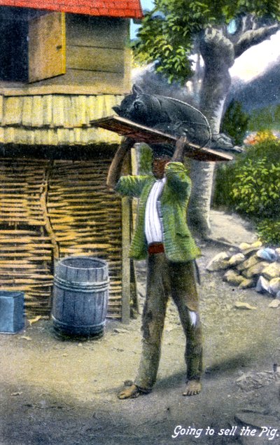 Muž na cestě na trh prodat prase, Jamajka, 1900 od Unbekannt