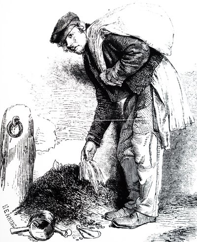 Skřivan bahenní od Unbekannt