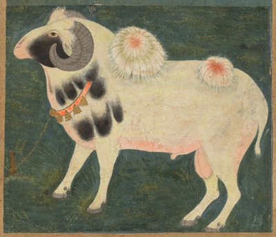Královský beran se zlatým řetězem, c. 1585, hranice přidána pravděpodobně 1700. od Unbekannt